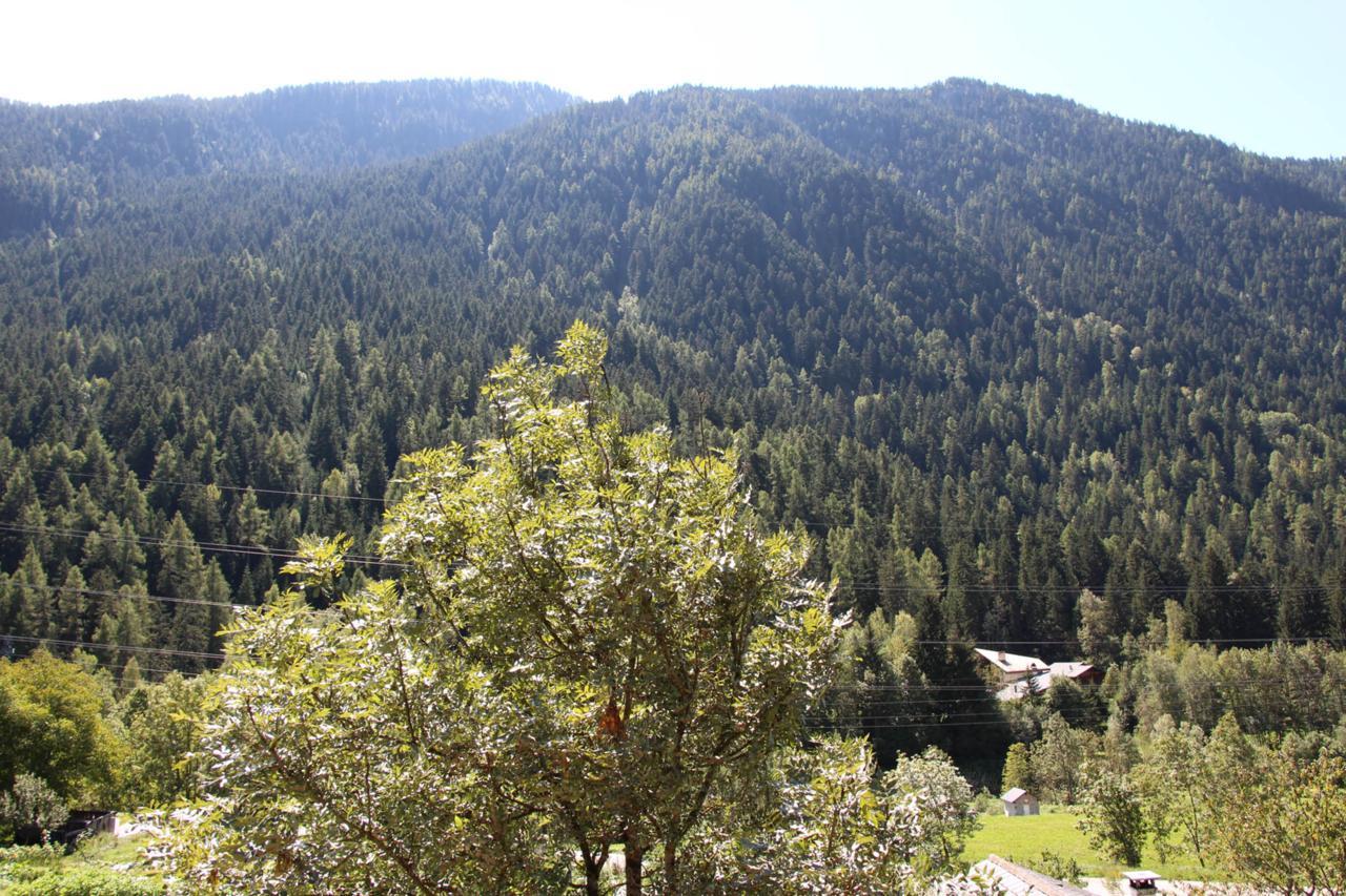 Chalet Tioli Montvalezan Kültér fotó
